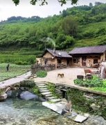 “蚂蚁搬场蛇过道明日必有大雨到”啥意义？
